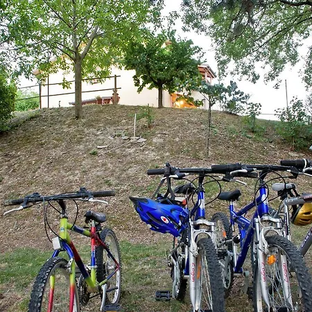度假居 Albicocca